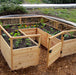 Outdoor Living Today Garden in a Box 8x8 cedar raised bed with gate open, young lettuce, greens and marigolds growing behind mesh panels