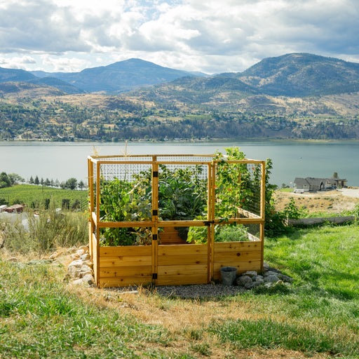 8x8 Garden in a Box with Deer Fence overlooking a mountain lake, western red cedar walls and wire mesh panels enclosing tall leafy crops