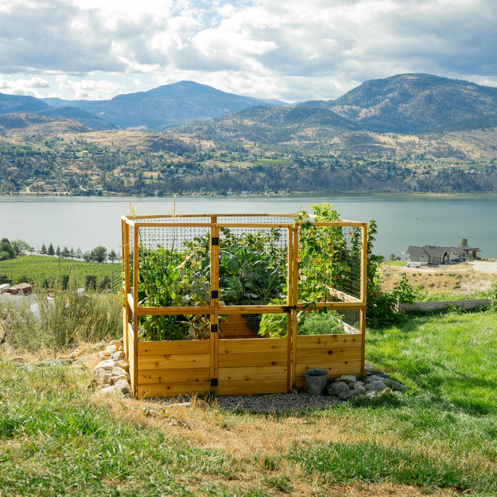 8x8 Garden in a Box with Deer Fence overlooking a mountain lake, western red cedar walls and wire mesh panels enclosing tall leafy crops
