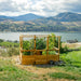 8x8 Garden in a Box with Deer Fence overlooking a mountain lake, western red cedar walls and wire mesh panels enclosing tall leafy crops