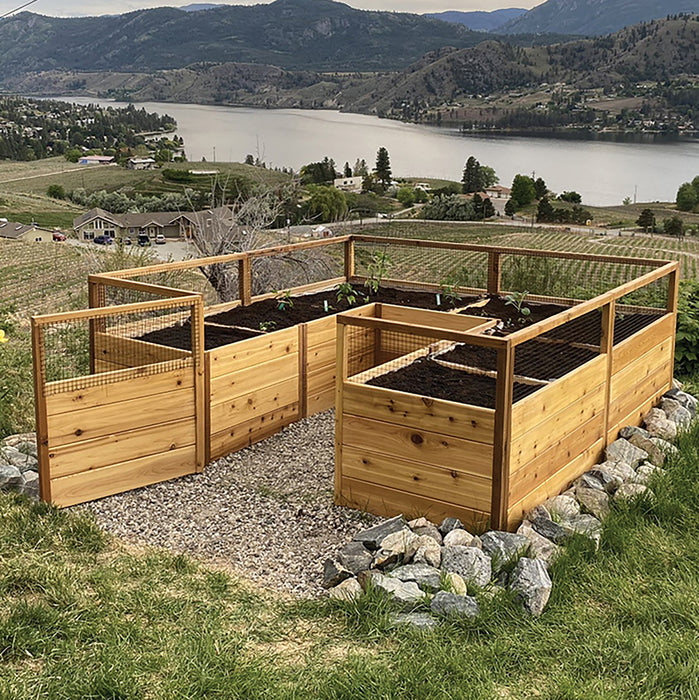8x8 Garden in a Box in western red cedar on a gravel pad above a lake, U-shaped beds freshly filled with soil and young seedlings