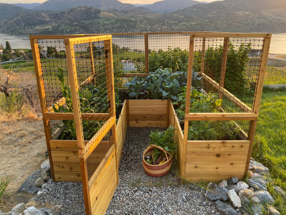 A front view of the Outdoor Living Today Garden in a Box 8×8 with deer fence its gate open, revealing lush vegetable plants growing inside.