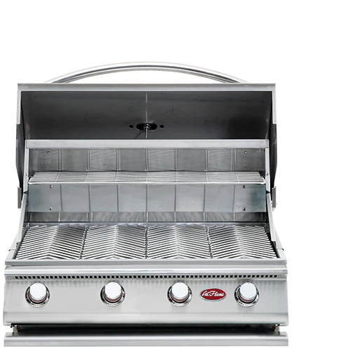 Propane Grill with a sleek stainless steel top