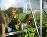 Canopia Balance 10' Greenhouse - Silver 10x16_3x5_child and adult planting