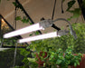 Canopia Brighton - LED Grow Light for plants
