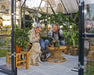 Canopia Chalet 12' x 10' Greenhouse_Victory_Orangery_Grey_Clear_with adults and a dog