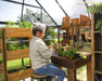Canopia Chalet 12' x 10' Greenhouse_Victory_Orangery_Grey_Clear_with plants