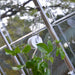 Canopia_Greenhouses_Accesoories_Trellising_Kit_04