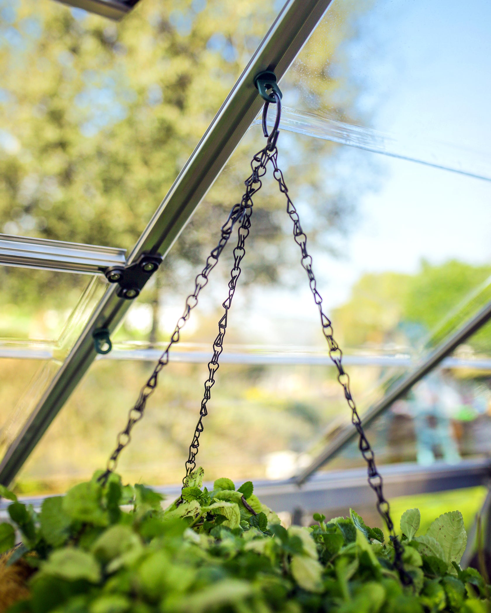 Enhance Your Greenhouse with Canopia Plant Hangers Versatile