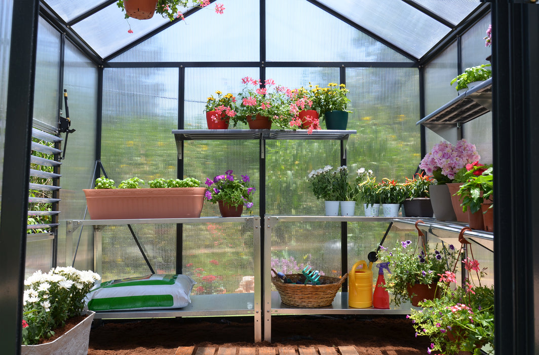 Canopia_Greenhouses_Glory_8x8_Grey_Multiwall_Inside