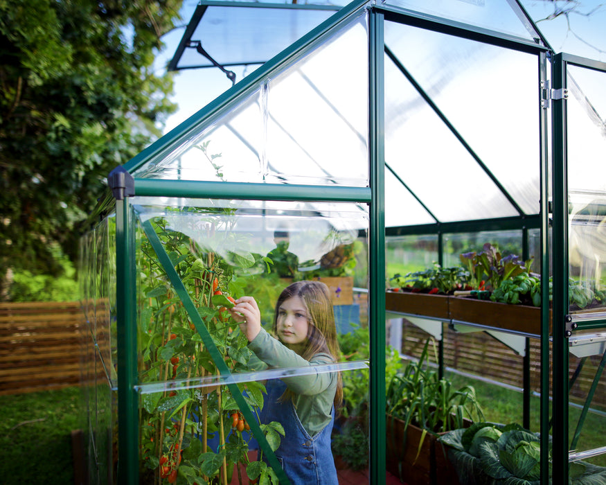 Canopia_Greenhouses_Hybrid_6x8_Green_Atmosphere_8