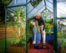 Canopia_Greenhouses_Hybrid_6x8_Green_Atmosphere