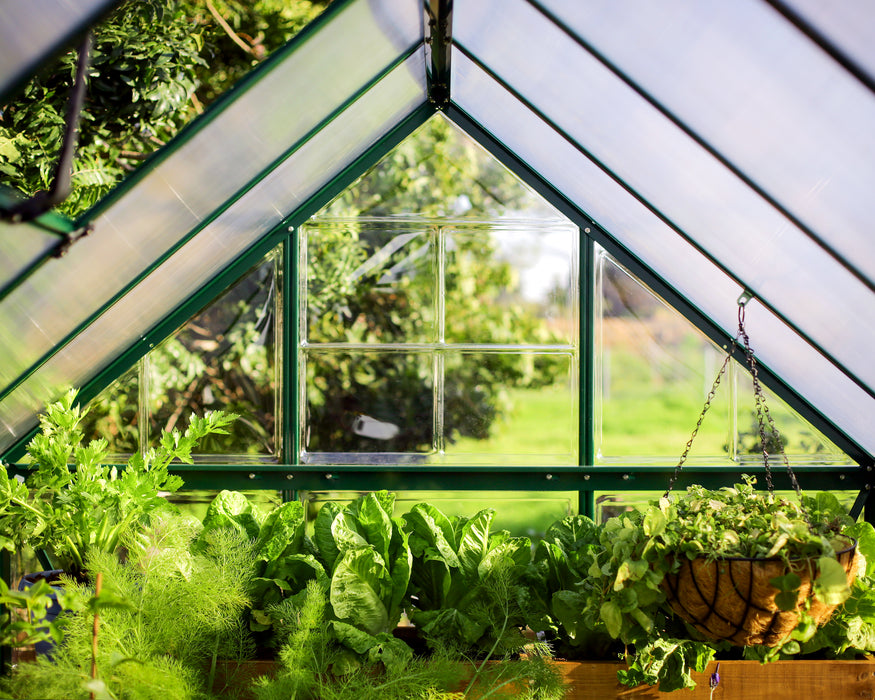 Canopia_Greenhouses_Hybrid_Green