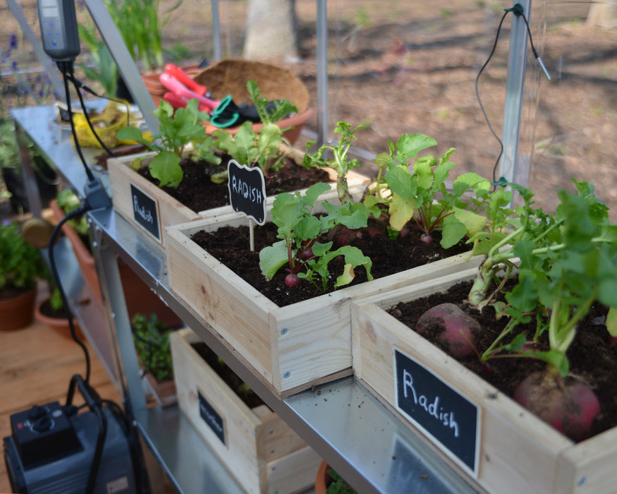 Canopia_Greenhouses_Hybrid_Harmony_Silver_Inside_2