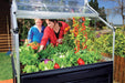 Canopia_Greenhouses_Plant_Inn_Clear_Atmosphere