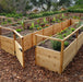 8x16 Garden in a Box with planted crops