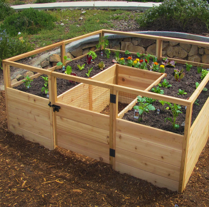 Garden in a Box 8×8 with flower and other veggies on dark soil