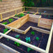 Garden in a Box with Deer Fence 12×8 with plants
