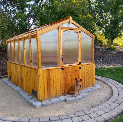 Cedar Greenhouse 8×12 with a dog