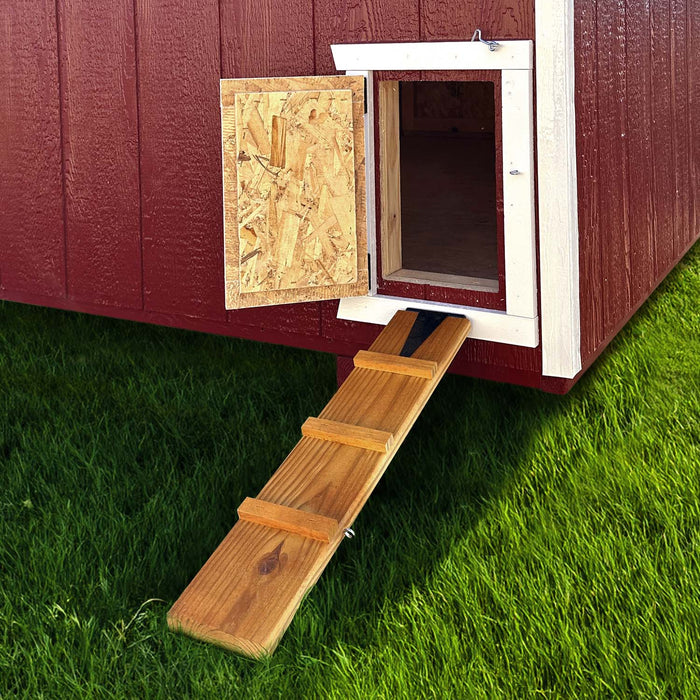 Close-up of the chicken door opened with ramp on the Little Cottage Company red coop.