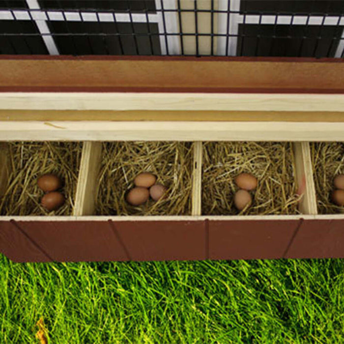 Inside view of EZ-Fit chicken coop's nesting boxes filled with straw and eggs.