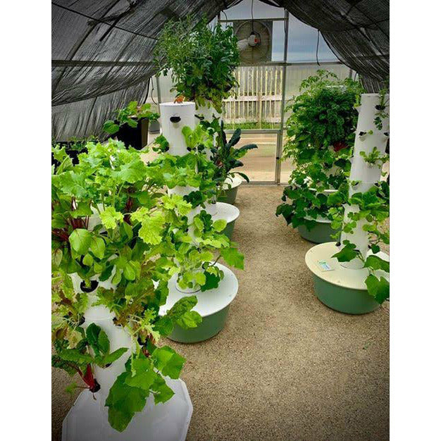RIGA Greenhouse with plants