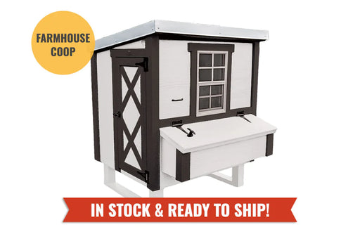 Front view of the white Farmhouse Model Medium OverEZ Chicken Coop with contrasting black hardware and design elements suitable for up to 10 chickens.