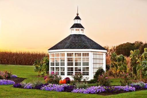 An idyllic view of the Little Cottage Company's 12x12 Garden Shed Greenhouse with a cupola and surrounded by colorful flowers at sunset.
