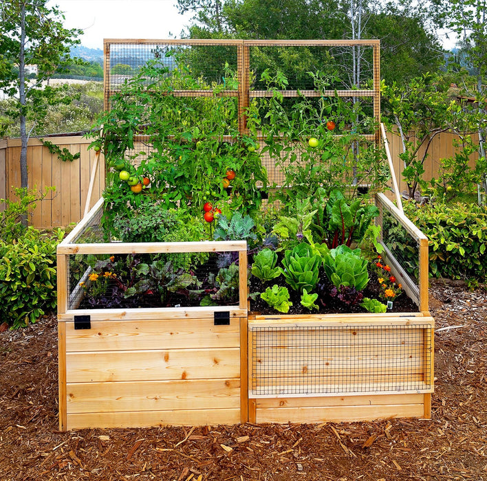  Garden in a Box 6×3 with Lid / Trellis with plants