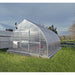 RIGA XL 8 Greenhouse on a grassy area