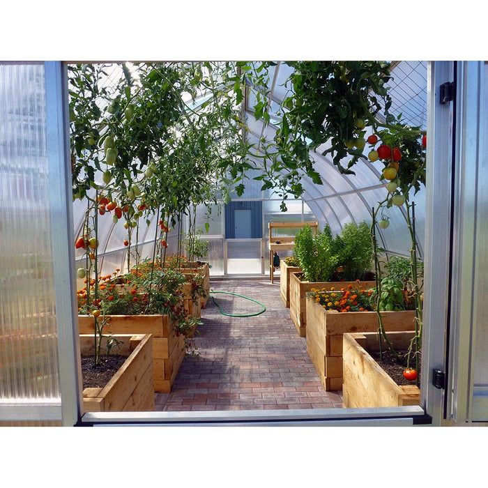 RIGA XL 8 Greenhouse with tomato plants