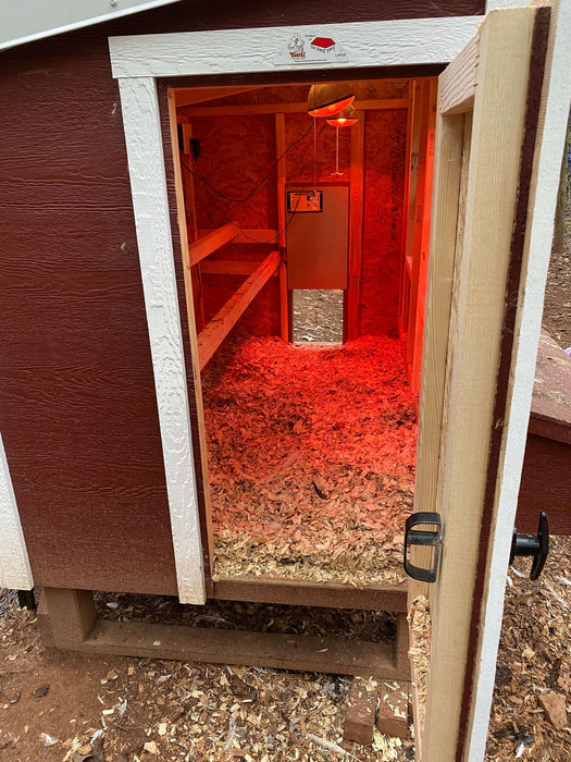 Inside an OverEZ Chicken Coop with an Automatic Door and lights.