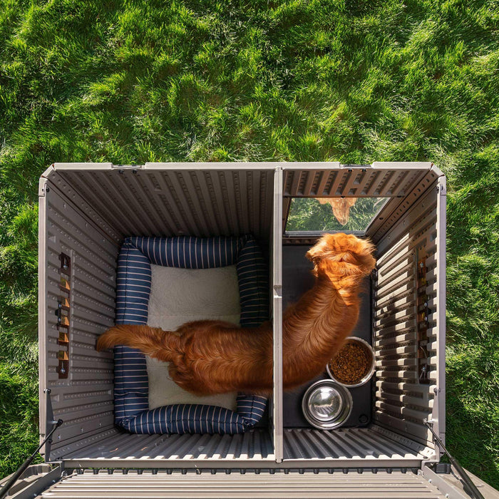 Aerial view of the interior of the Lifetime Deluxe Large Dog House with a dog inside, showcasing the spacious design.