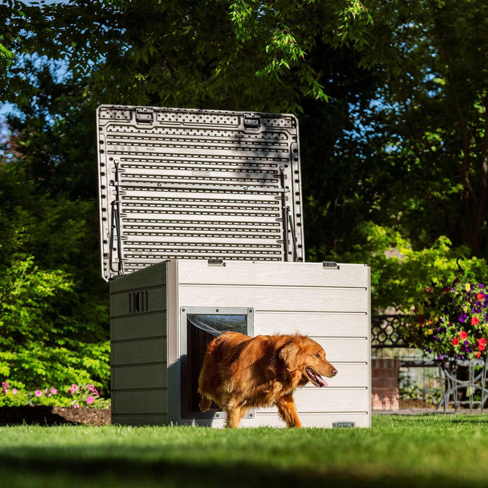 A large, golden retriever exiting the Lifetime Deluxe Large Dog House set in a lush backyard.