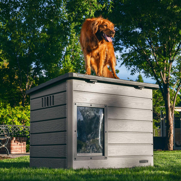 A golden retriever standing on the closed roof of the Lifetime Deluxe Large Dog House, demonstrating its sturdiness.