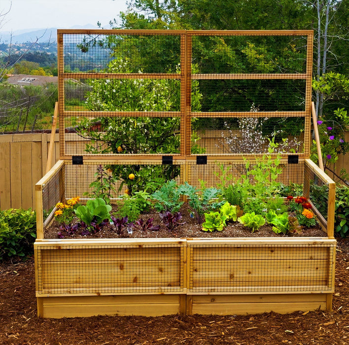  Garden in a Box 6×3 with Lid / Trellis front view