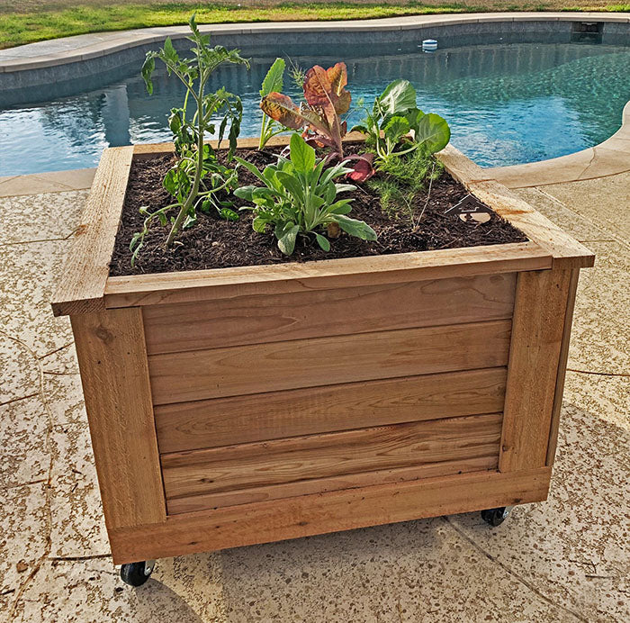 Outdoor Living Today Self Watering Planter 2x2 with various greenery planted in it placed beside the pool