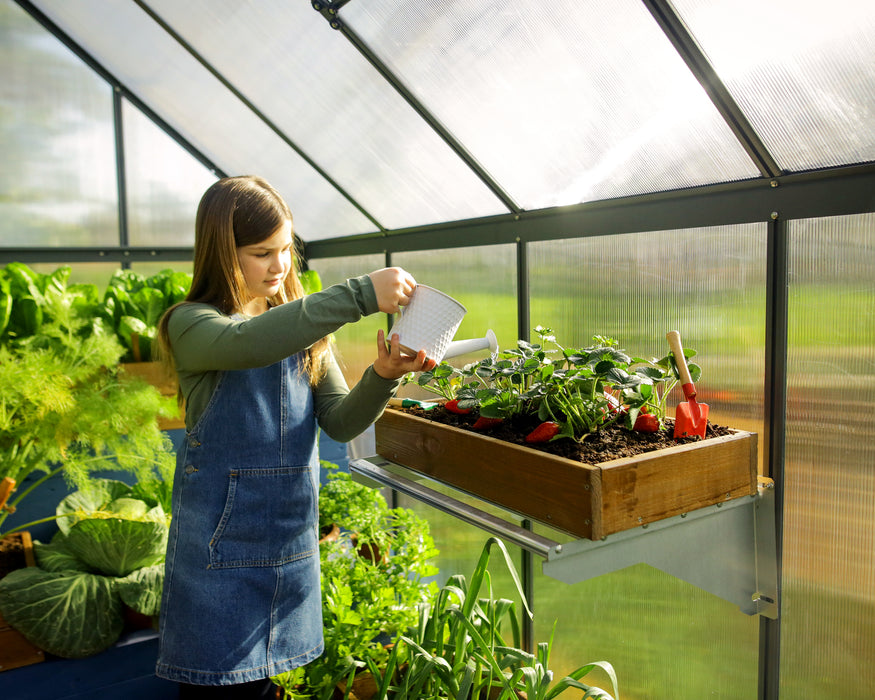 Canopia_Greenhouses_Mythos_6x8_Grey_Atmosphere-4