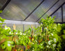 Canopia_Greenhouses_Mythos_Grey_1