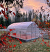 Hoklartherm Riga Greenhouses 5 (165 sq.ft.) with flowers outside