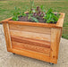 Outdoor Living Today Self Watering Planter 2×2 filled with a variety of leafy greens.