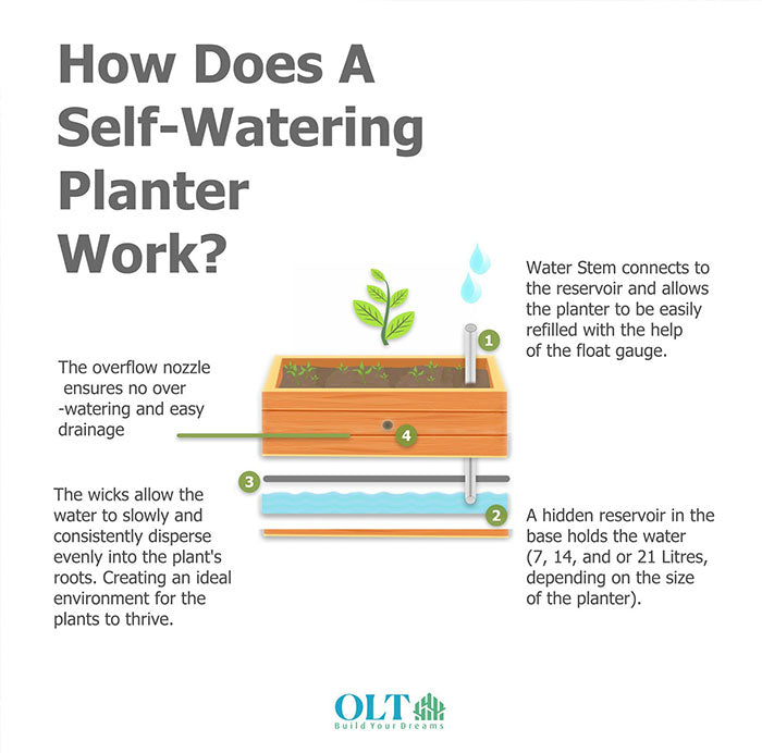  Educational infographic detailing benefits of Outdoor Living Today Self Watering Planter 3×3.