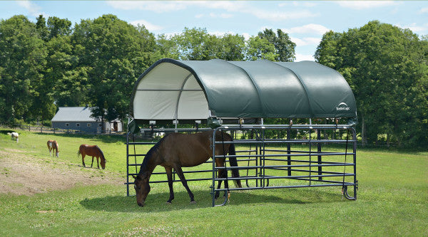 Brown horse standing in ShelterLogic Corral Shelter eating grass with other horses at the back