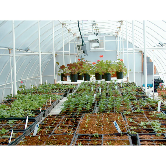 Interior of the Solexx Conservatory Deluxe filled with a variety of green plants and flowers under the diffuse light of the greenhouse