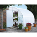 Solexx Harvester greenhouse with partially open door, flanked by colorful potted flowers and a trellis fence, in a vibrant garden setting.