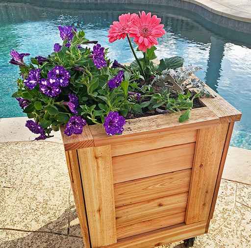 Bright flowers bloom in the Outdoor Living Today Self Watering Planter 1×1 by the pool.