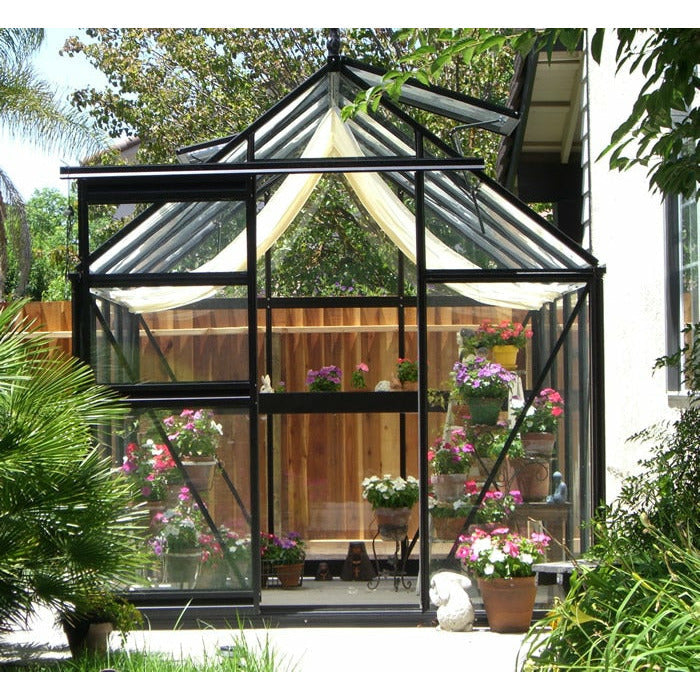 Close-up view of a Junior Victorian Greenhouse by Janssens Exaco featuring black framing, transparent glass panels, and a peaked roof, surrounded by flowering plants in a residential garden setting.