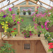 Flowers & plants inside a 6.7ft Yardistry Meridian Cedar Greenhouse.