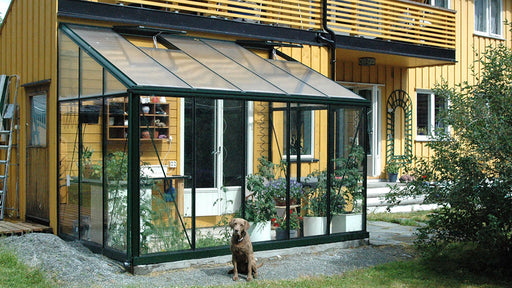 A dog sits in front of an attached lean-to Arcadia greenhouse with a black frame and polycarbonate panels, built against a yellow wooden house.