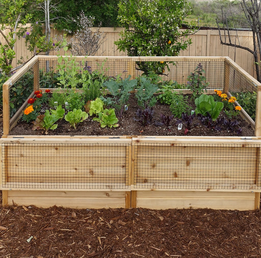  Garden in a Box 6×3 with Lid / Trellis on a backyard